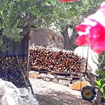 Grandmas